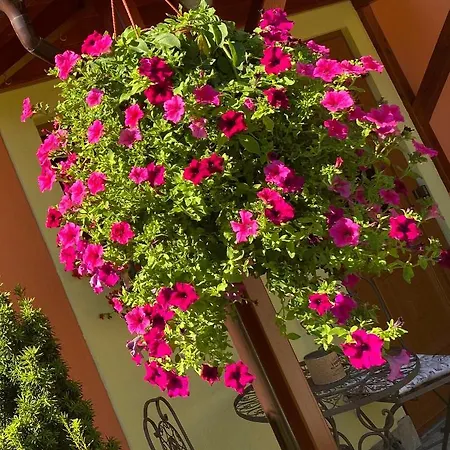 Apartman La Guccinela *