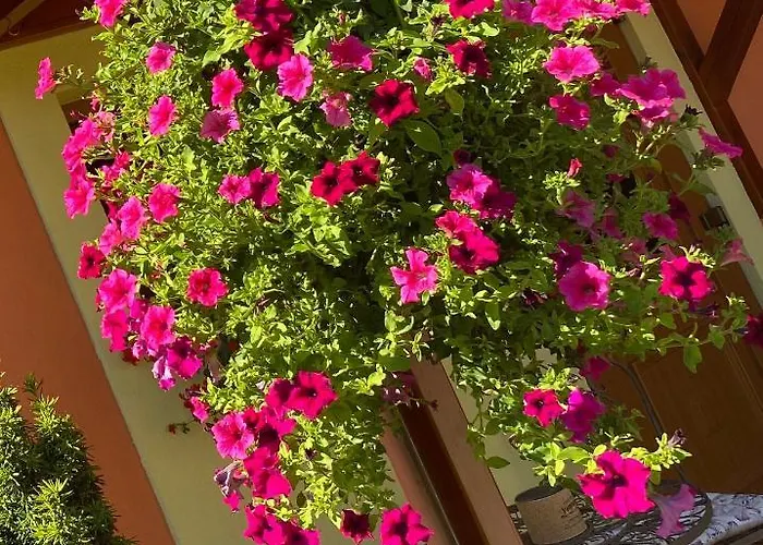 Διαμέρισμα La Guccinela *